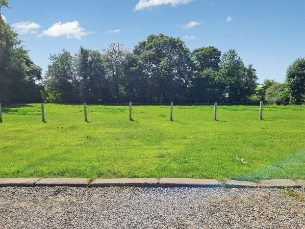 Un campo cubierto de hierba con una cerca y árboles al fondo.