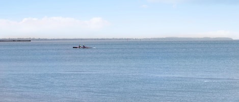 Nära stranden