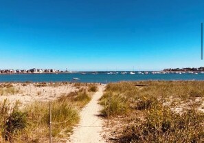 Plage à proximité, chaises longues, serviettes de plage