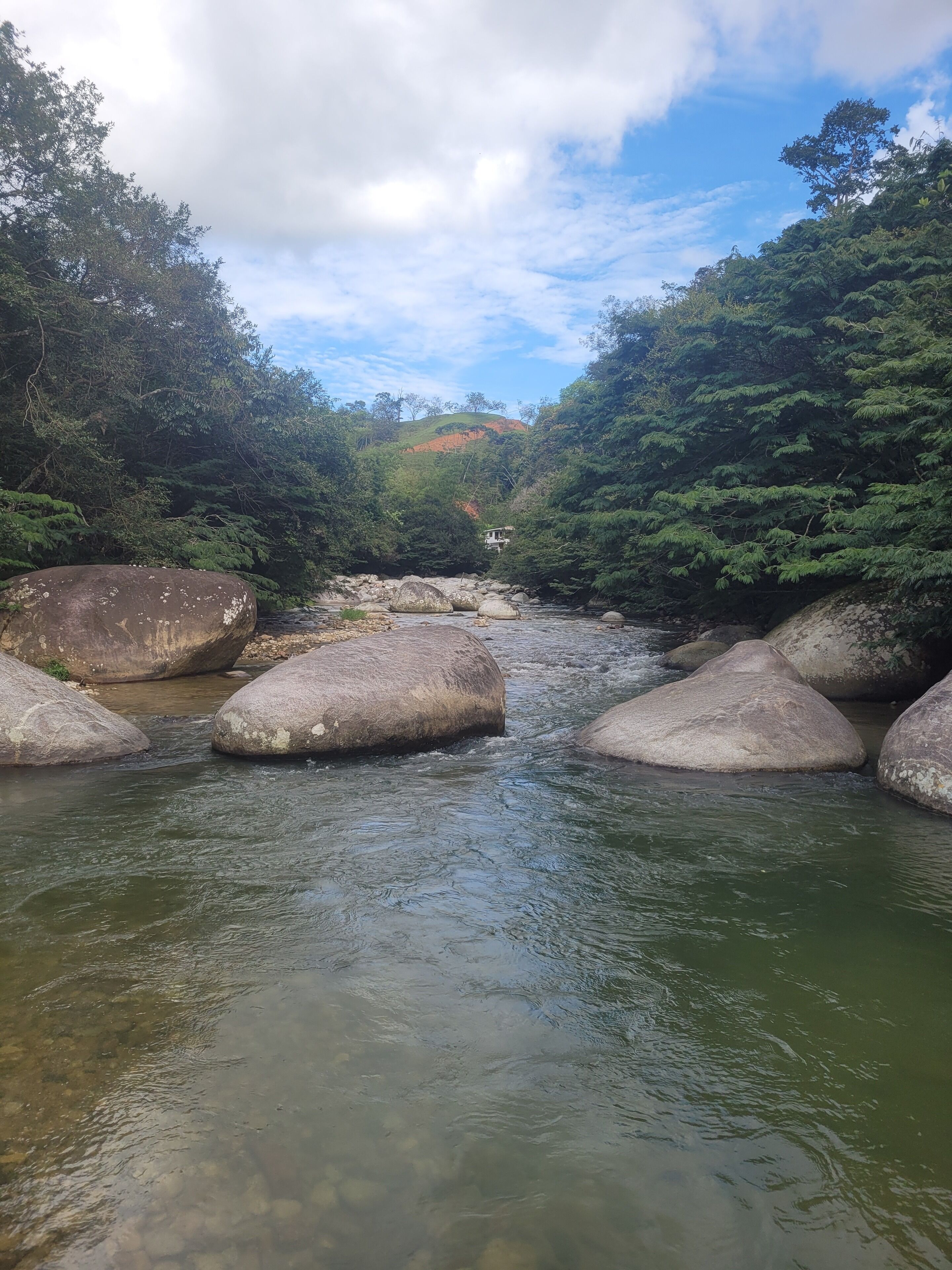 Un río con rocas grandes en el centro, rodeado de una vegetación verde y densa.
