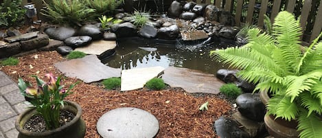 A garden with a pond, rocks, ferns, and a wooden fence.