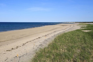 Una spiaggia nelle vicinanze