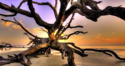 Villa 379 - Oceanfront Jekyll Island