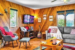 TV connectée, cheminée, livres, médiathÚque