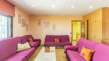 Televisie, een open haard, videospelletjes en een dvd-speler