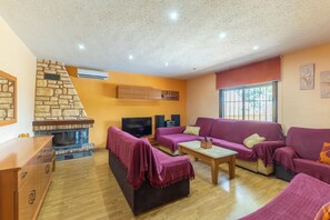 TV, fireplace, video games, DVD player