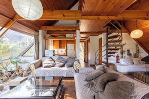 TV, fireplace, DVD player