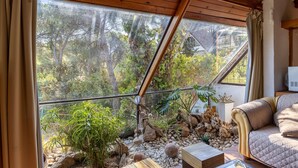 Una habitación con un ventanal grande, techo de madera, un sofá y un pequeño jardín interior.