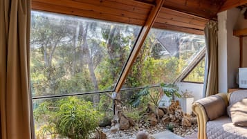 Televisión, chimenea y reproductor de DVD