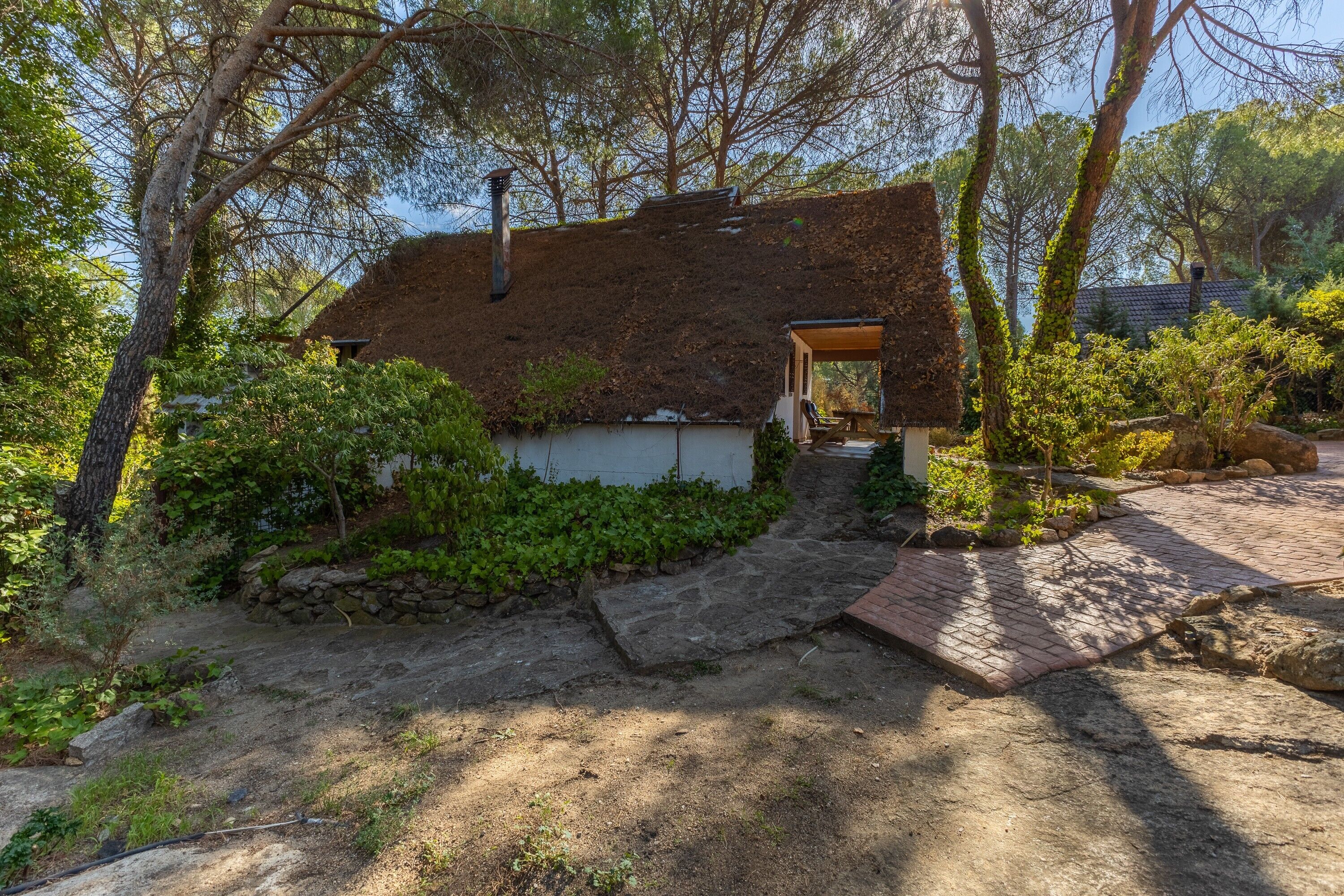 A rustic house with a thatched roof, surrounded by dense greenery and a stone pathway leading to a wooden door.
