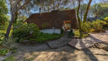 A rustic house with a thatched roof, surrounded by dense greenery and a stone pathway leading to a wooden door.
