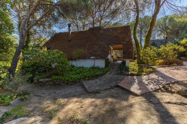 A rustic house with a thatched roof, surrounded by dense greenery and a stone pathway leading to a wooden door.