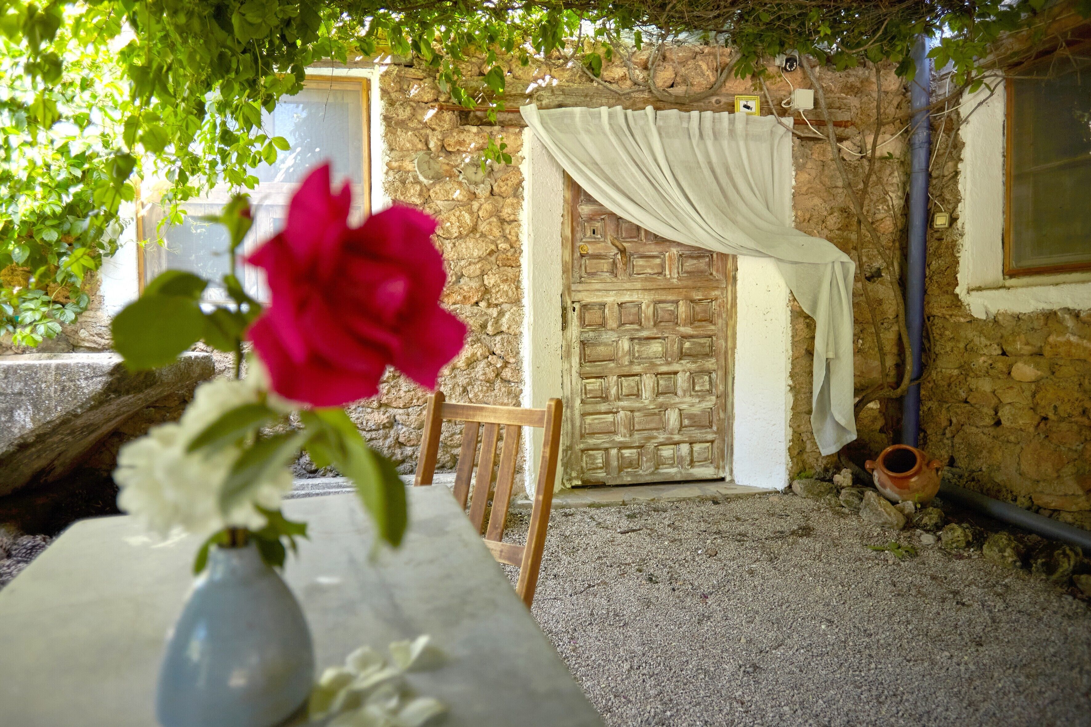 Terras
