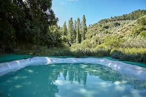 Une piscine aux eaux cristallines, entourée d’une végétation luxuriante et d’arbres.