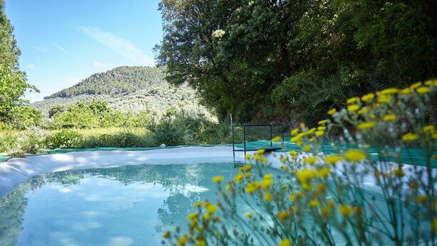 Ein klares Schwimmbecken im Freien, umgeben von viel Grün und Hügeln.