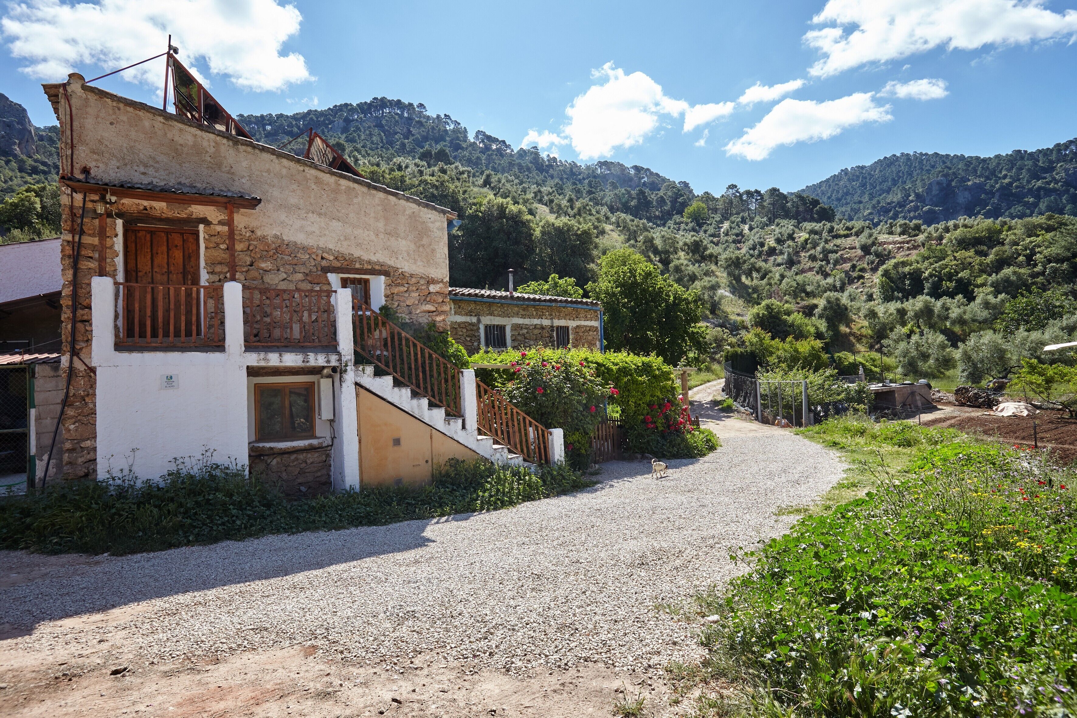 Un edificio rústico con fachada de piedra, una escalera de madera y un camino de grava que conduce a una zona verde.
