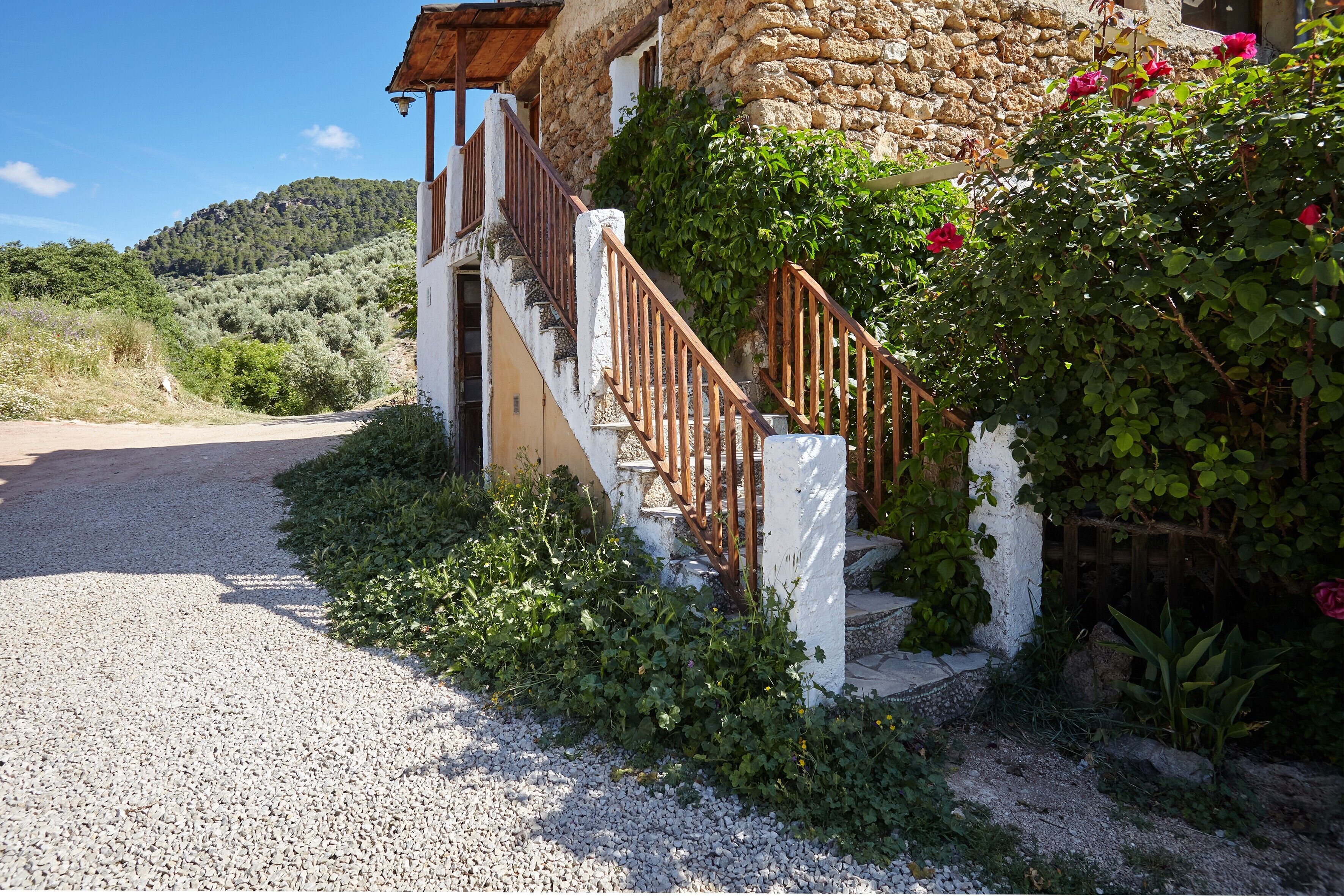 Terrein van de accommodatie