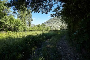 Àrea exterior de l'allotjament