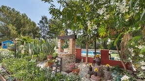 Un jardín con una fuente de piedra, plantas en macetas y un edificio azul al fondo.
