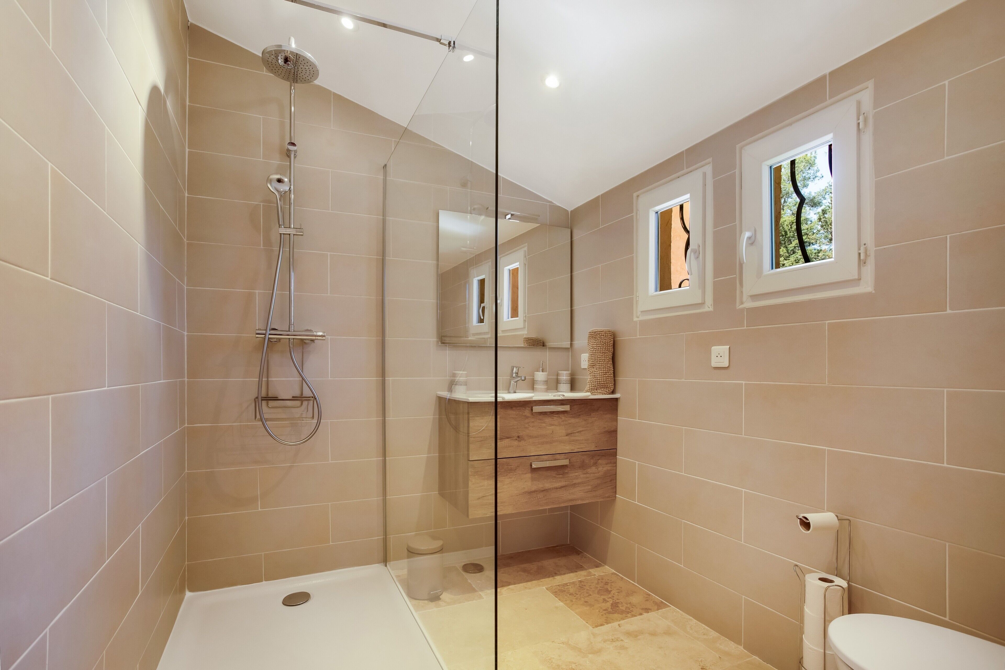 Shower, hair dryer, towels