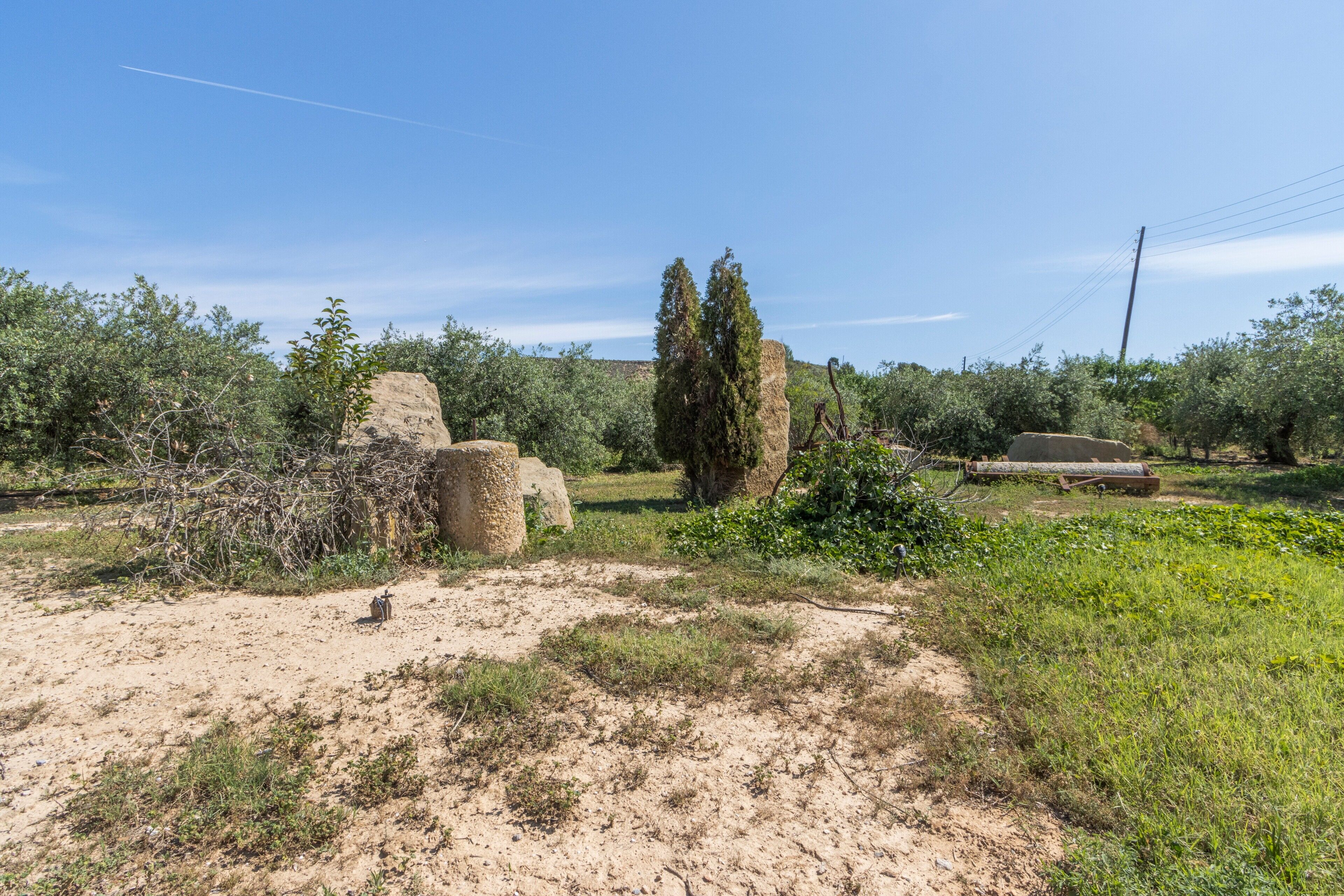 Paisaje natural con estructuras de piedra, un árbol alto y un sendero de tierra.