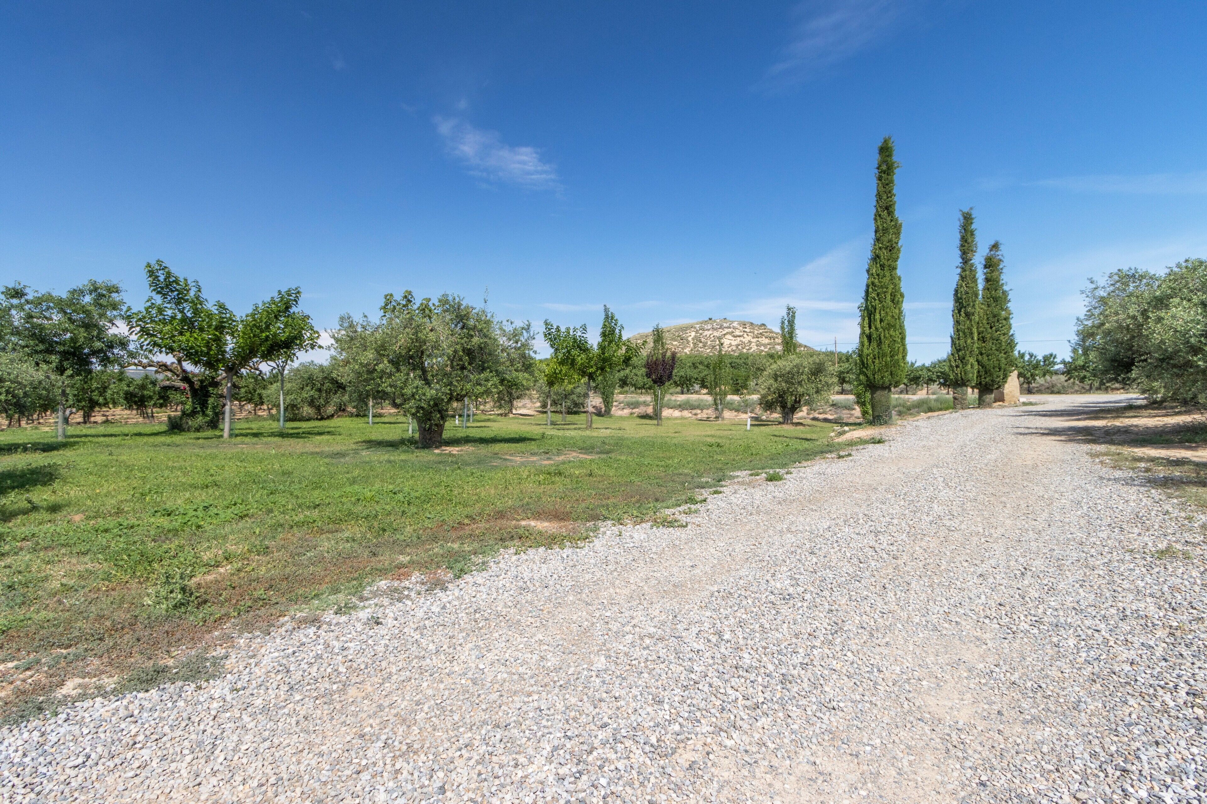 A gravel path leading through a park with trees and a hill in the background.