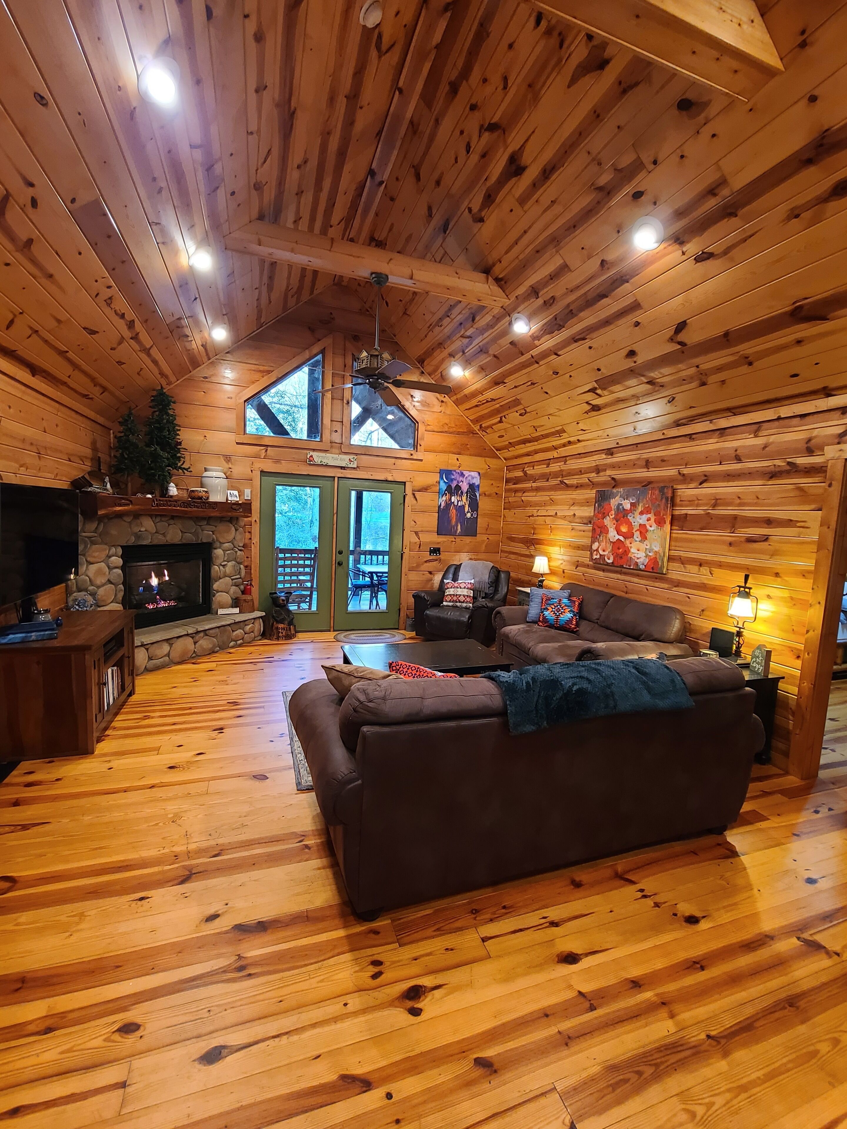 Smart TV, fireplace, DVD player, books