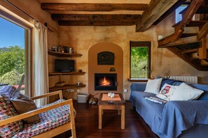 Televisión, chimenea, reproductor de DVD