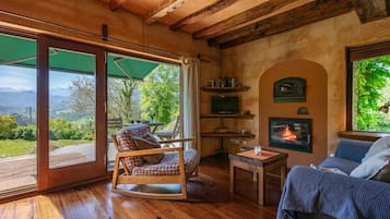 Televisión, chimenea, reproductor de DVD