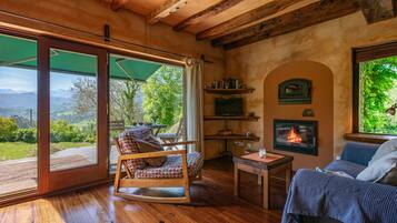 Een televisie, een open haard en een dvd-speler