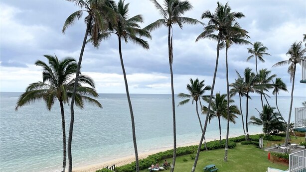 Une vue d’une plage avec des palmiers et une zone herbeuse où se trouve une table de pique-nique.