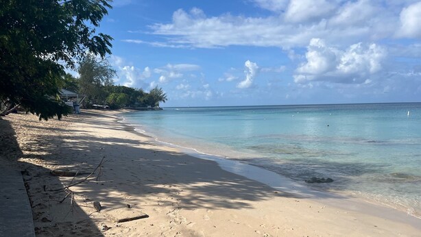 A sandy beach with clear water, a few scattered rocks, and a tree line on the left.