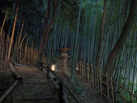 Banyan Tree Higashiyama Kyoto - Image 2