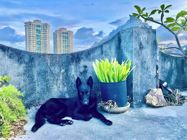 Overnattingsstedets uteområder