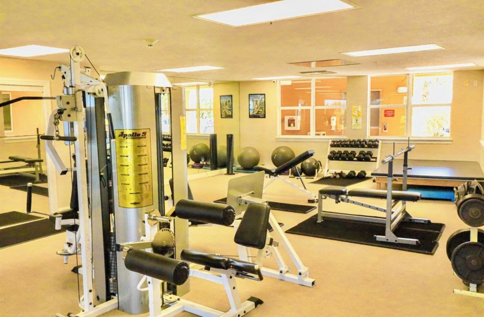 A gym with various exercise equipment, including weight machines and free weights.