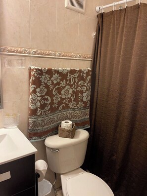 Chuveiro, secador de cabelo, toalhas de banho, sabonete