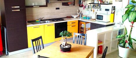 Frigorífico, microondas, horno y placa de cocina