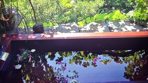 Un jardí amb un camí de pedra, un petit estany i diverses plantes i flors.