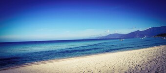 Sans Murs Dans la Nature