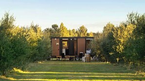 A small, single-story cabin with a door and windows, surrounded by a grassy field and trees.