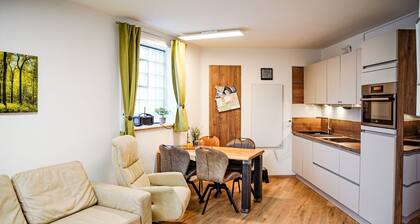 Winterberg Panorama - Schöne Ferienwohnung mit Balkon Direkt am Erlebinsberg Kappe