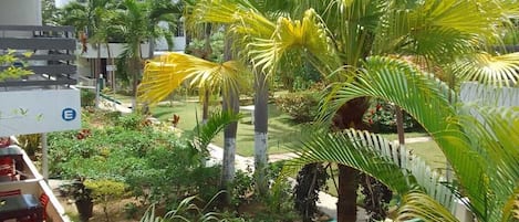 A lush outdoor garden with palm trees and various plants, surrounded by buildings.