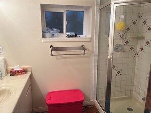 Hair dryer, towels, soap, shampoo