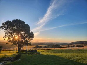 Property grounds - Lush Pastures - Oscar lodge (Bald Hills)