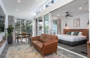 Decoración personalizada, muebles diferentes y cortinas blackout 