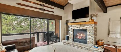 Smart TV, fireplace, books