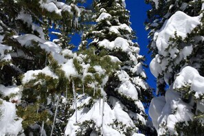 Property grounds - Spacious/Updated TH w/Private Hot Tub/Air Conditioning+ Steps to Pool/Free Town Bus-W/D in Unit-Deck (Steamboat Springs)
