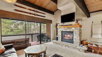 智能电视、壁炉、DVD 播放器、书