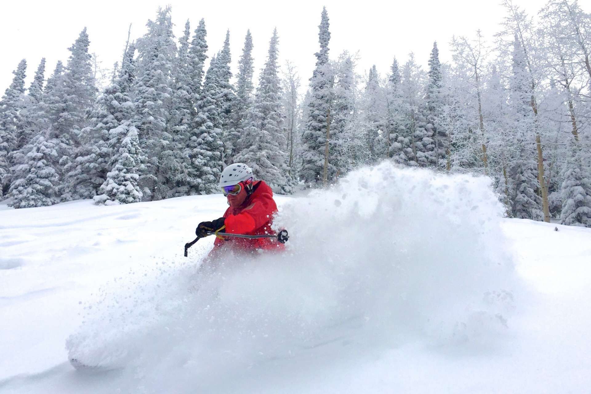 A person skiing on a snowy slope with trees in the background.