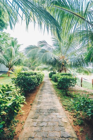 Jardim